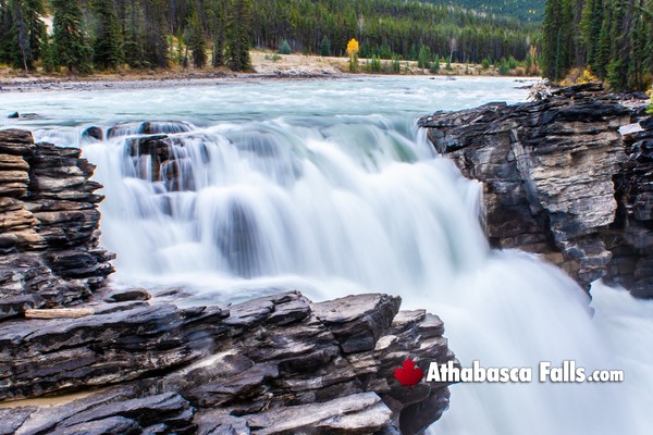 Athabasca Falls During January
