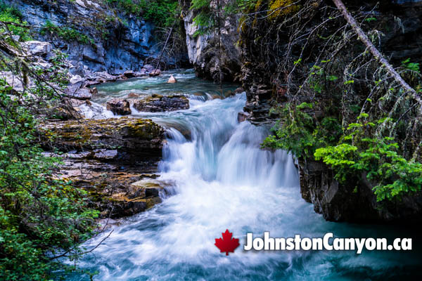 Johnston Canyon During January