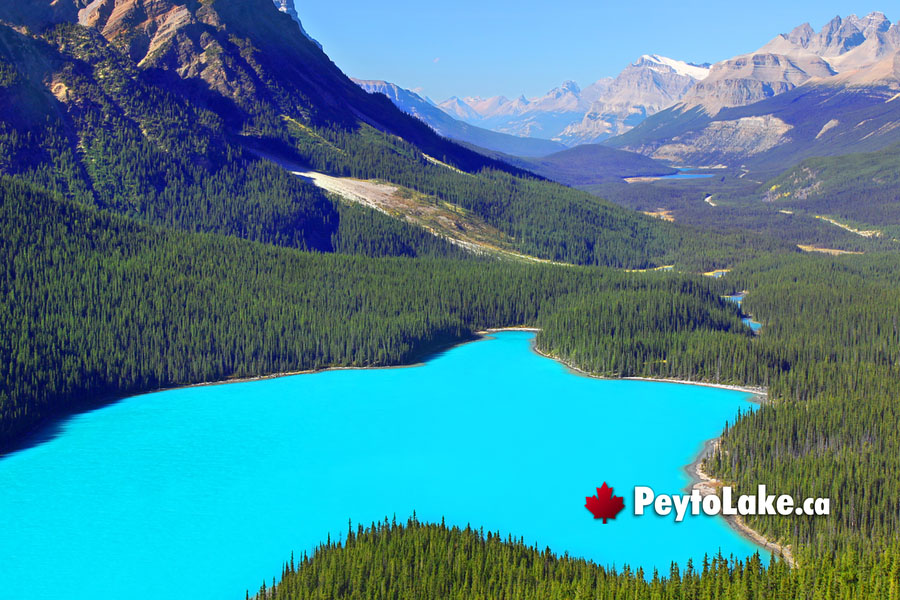 January at Peyto Lake