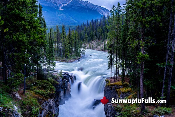 Sunwapta Falls in January